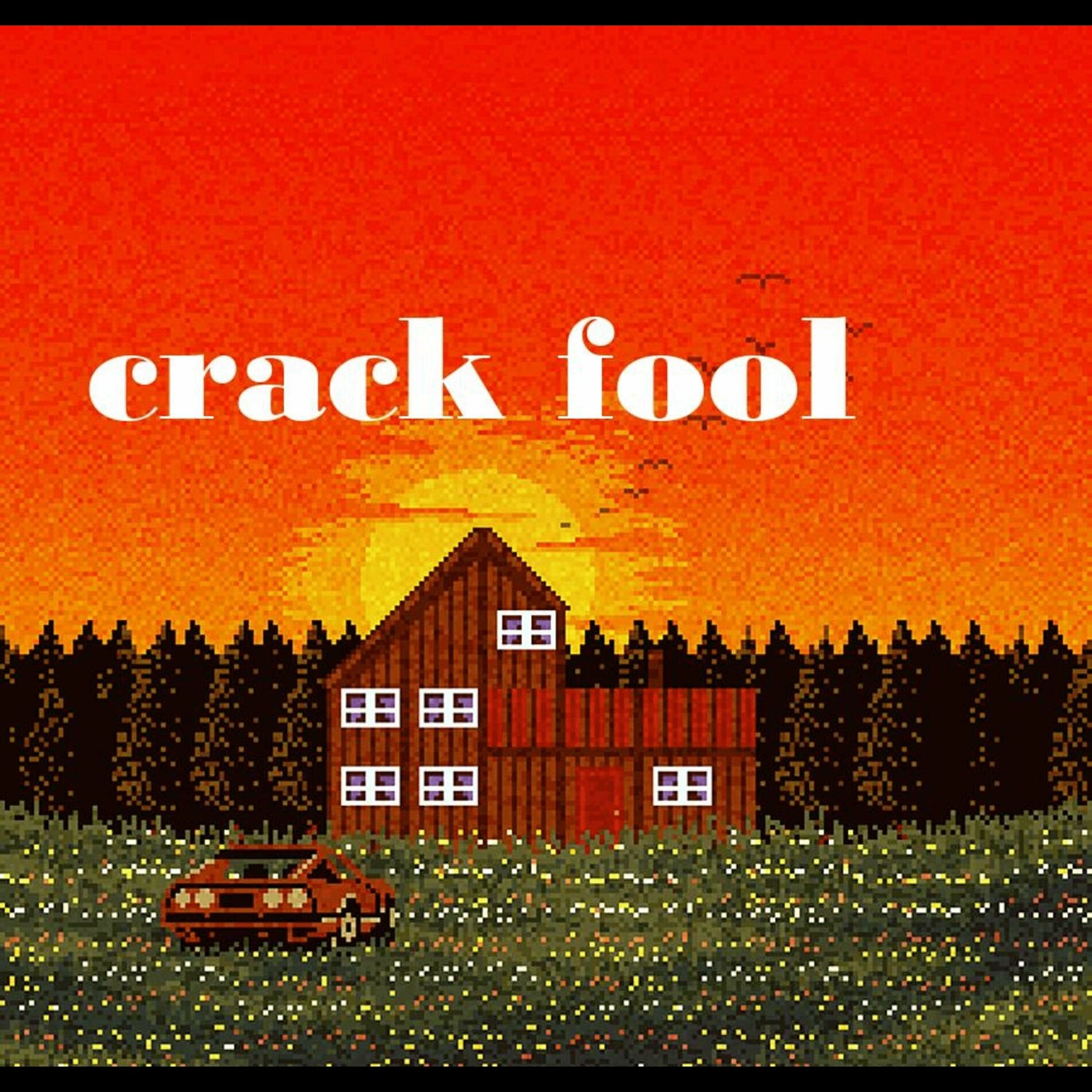 Album cover of Crack Fool
