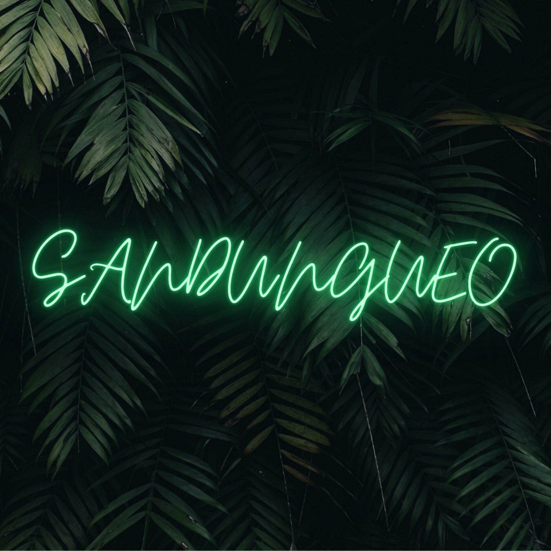 Album cover of Sandungueo