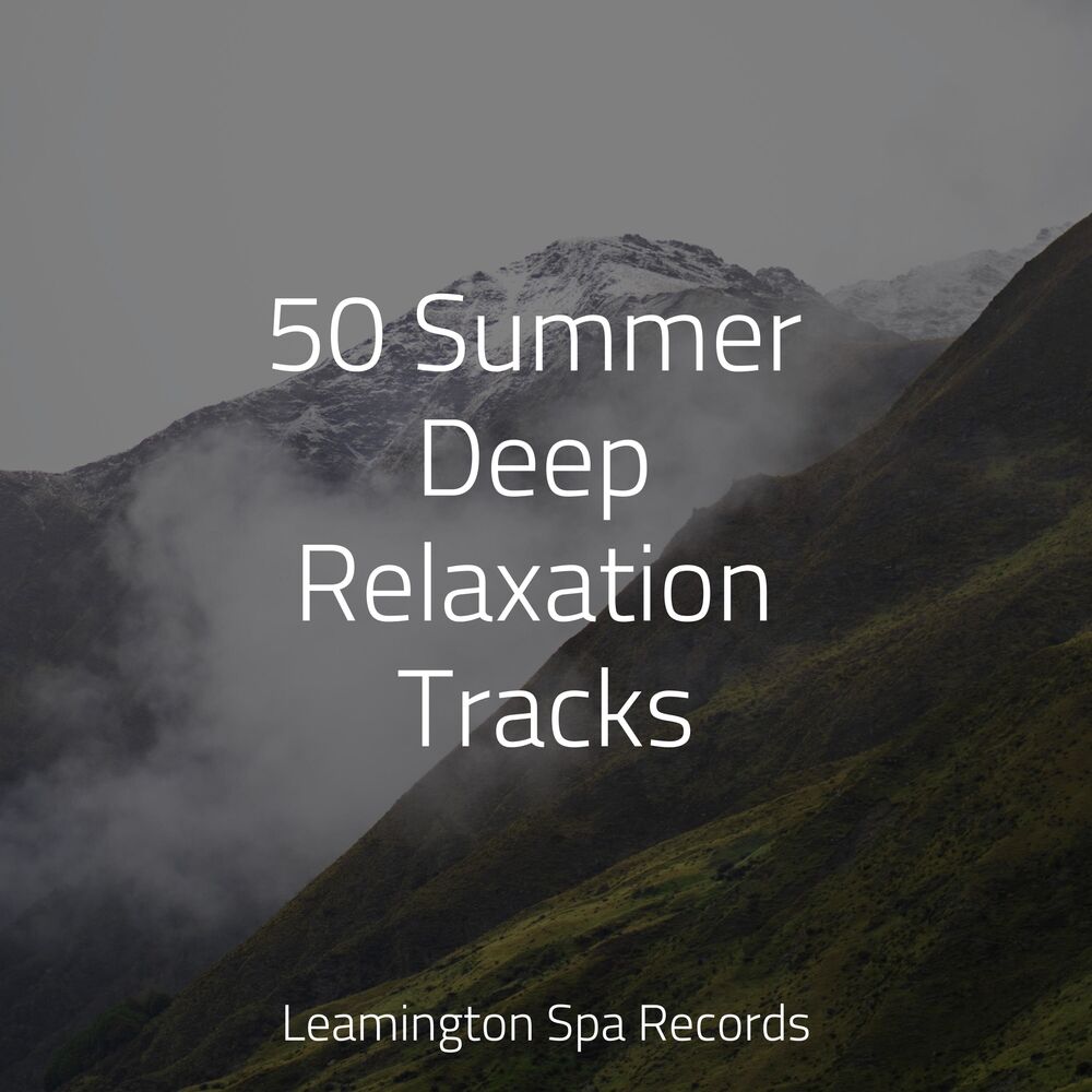 Picture of 50 Summer Deep Relaxation Tracks