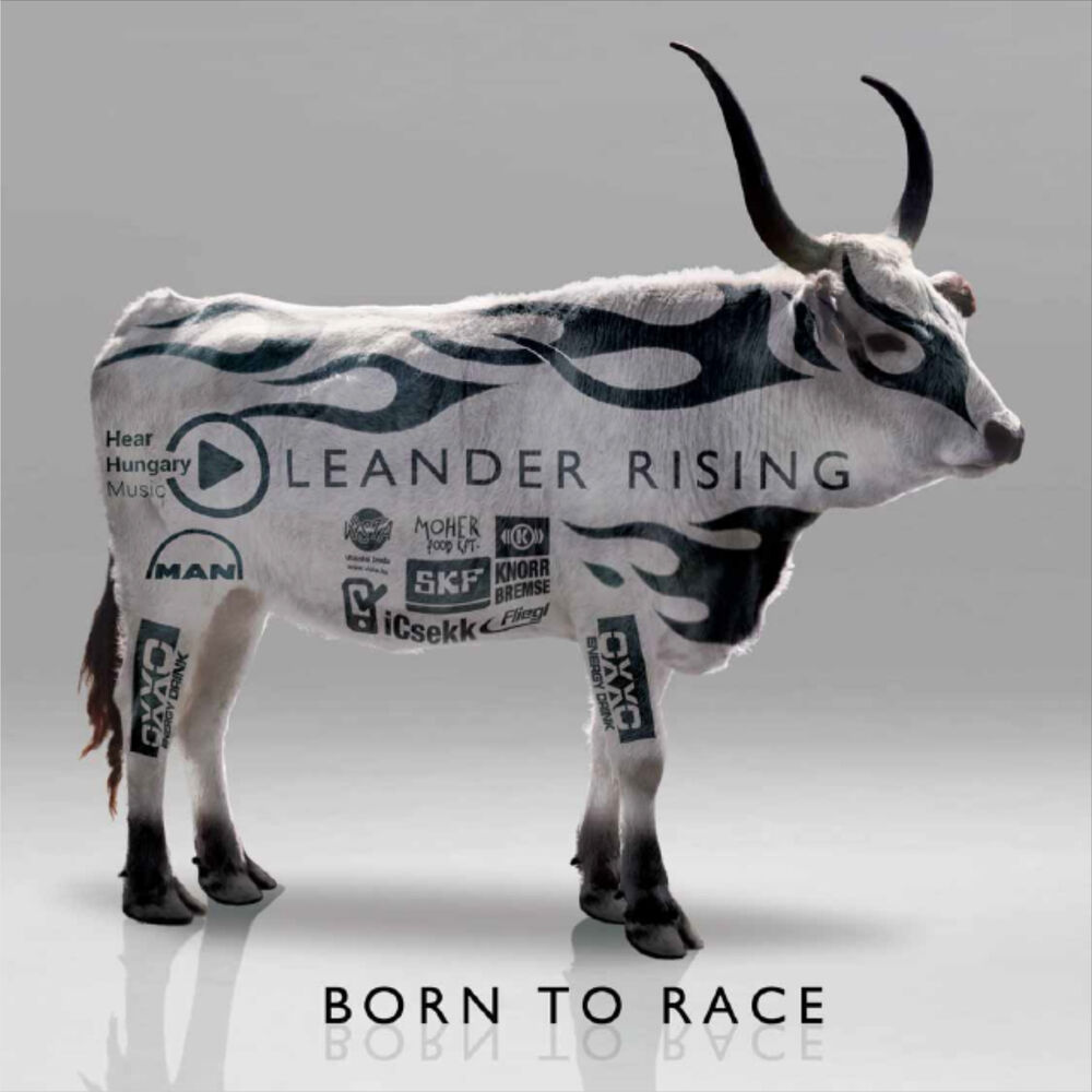 Picture of Born To Race