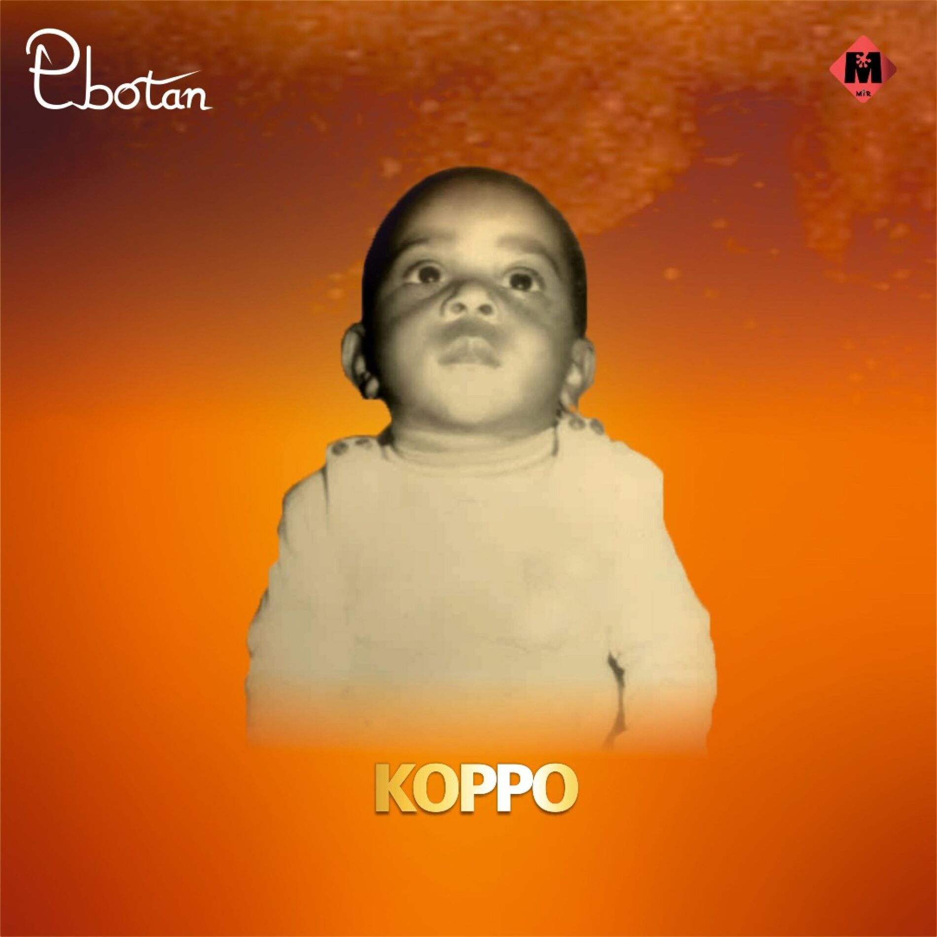 Album cover of EBOTAN