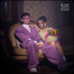 Cover of 365
