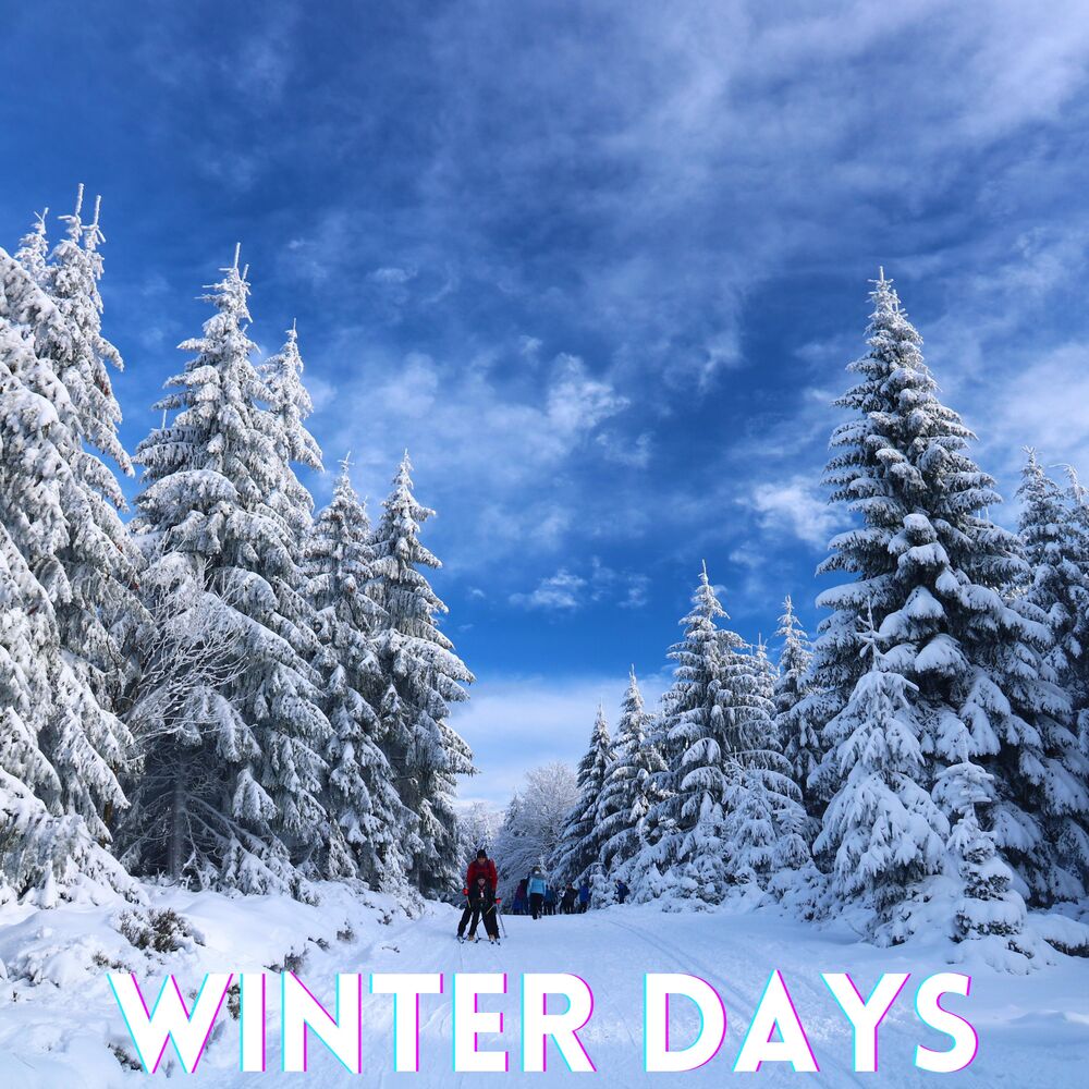Picture of Winter Days