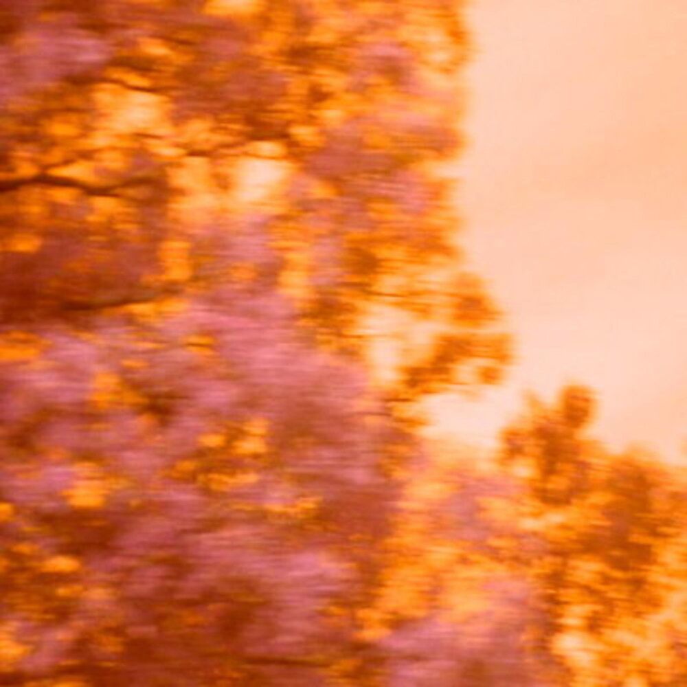 Picture of Nothing to Waste Nothing to Fake