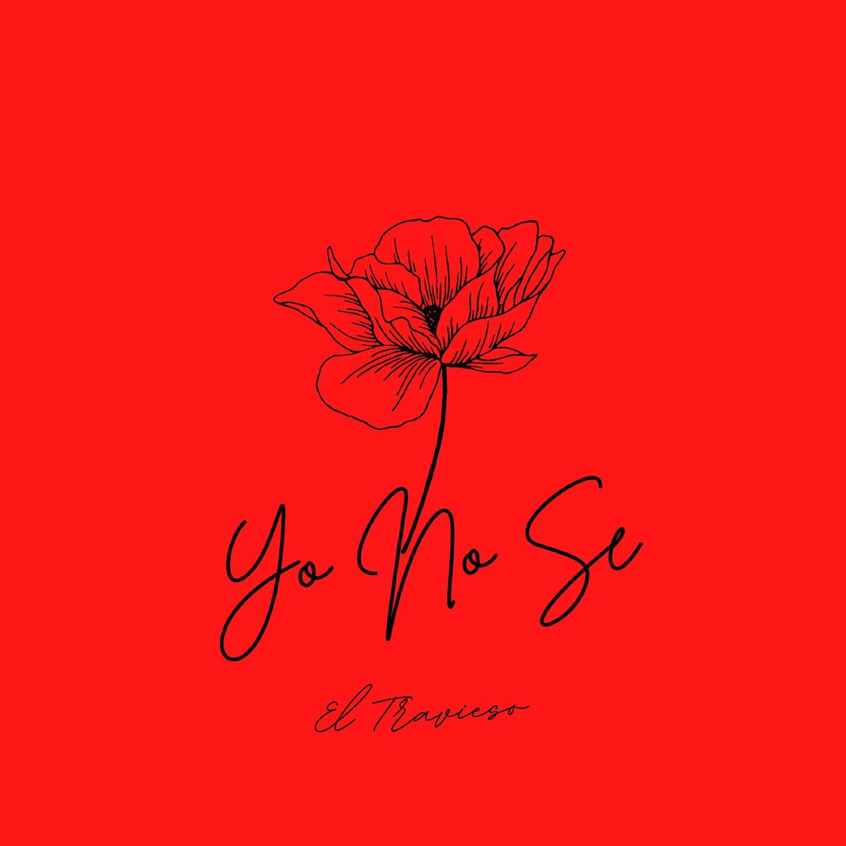 Album cover of Yo No Se