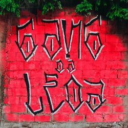 Cover of Gang da Leoa, Vol. 1