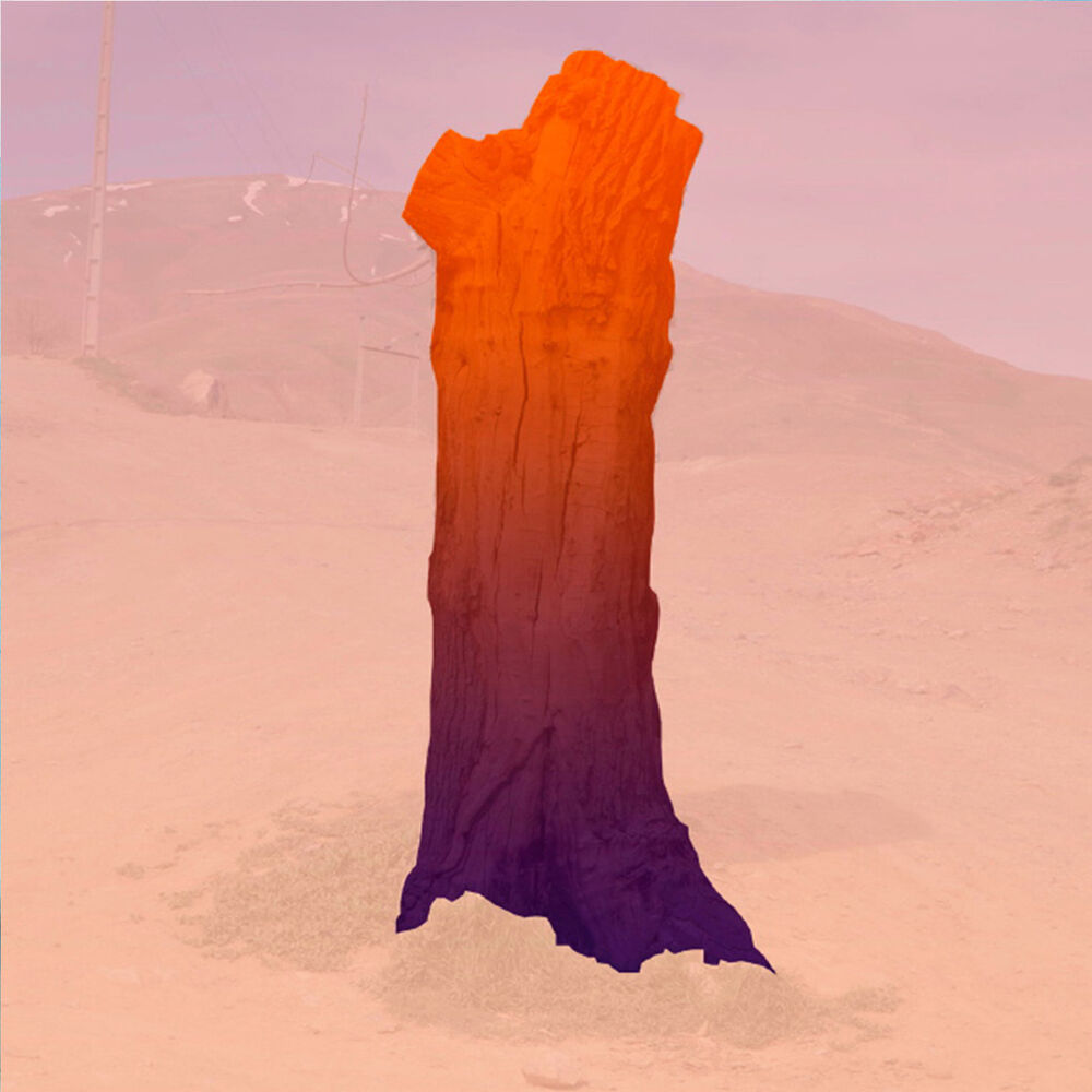 Picture of The Waning Branches EP