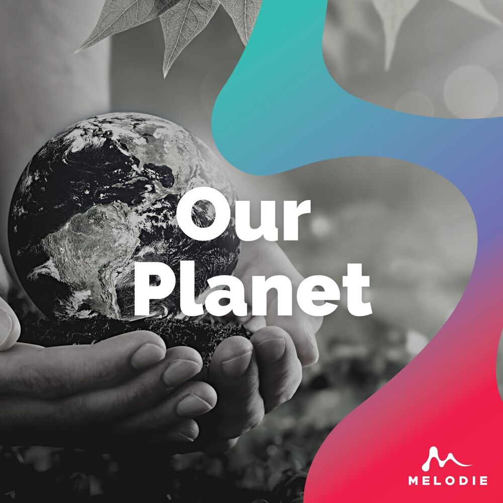 Picture of Our Planet