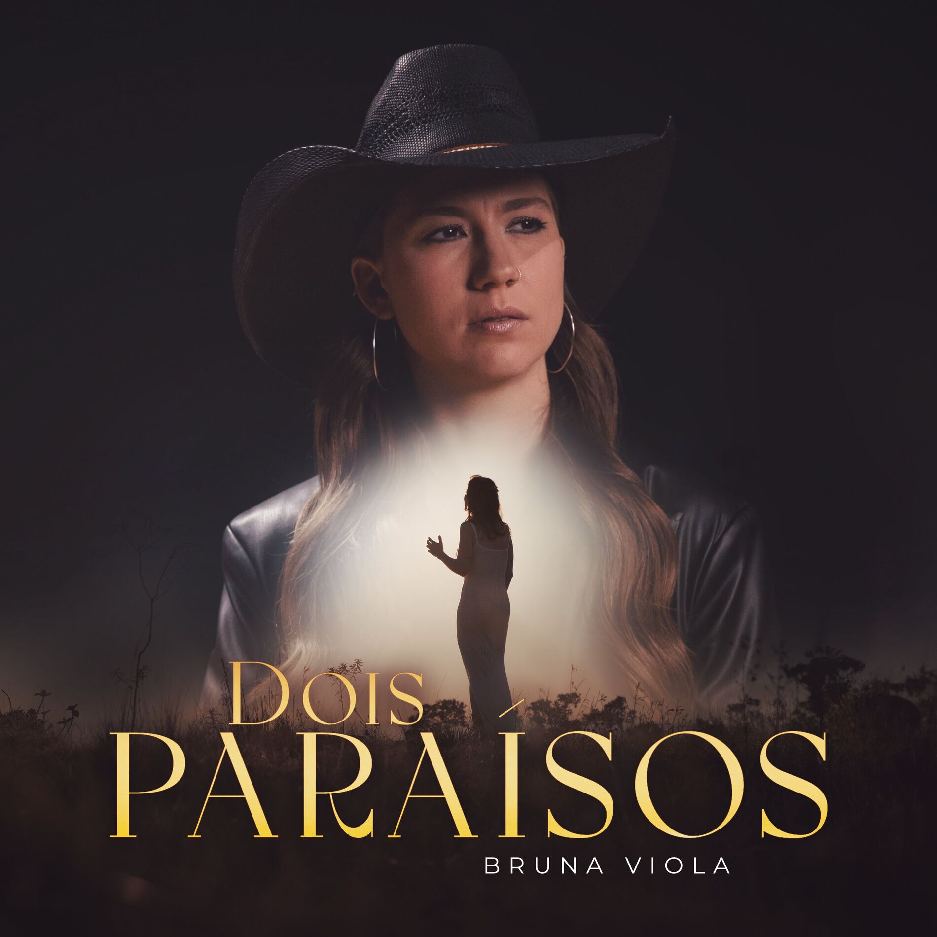 Album cover of Dois Paraísos