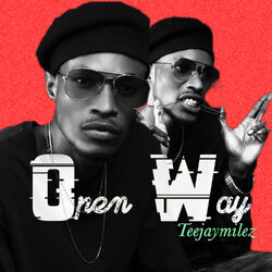 Cover of Open Way