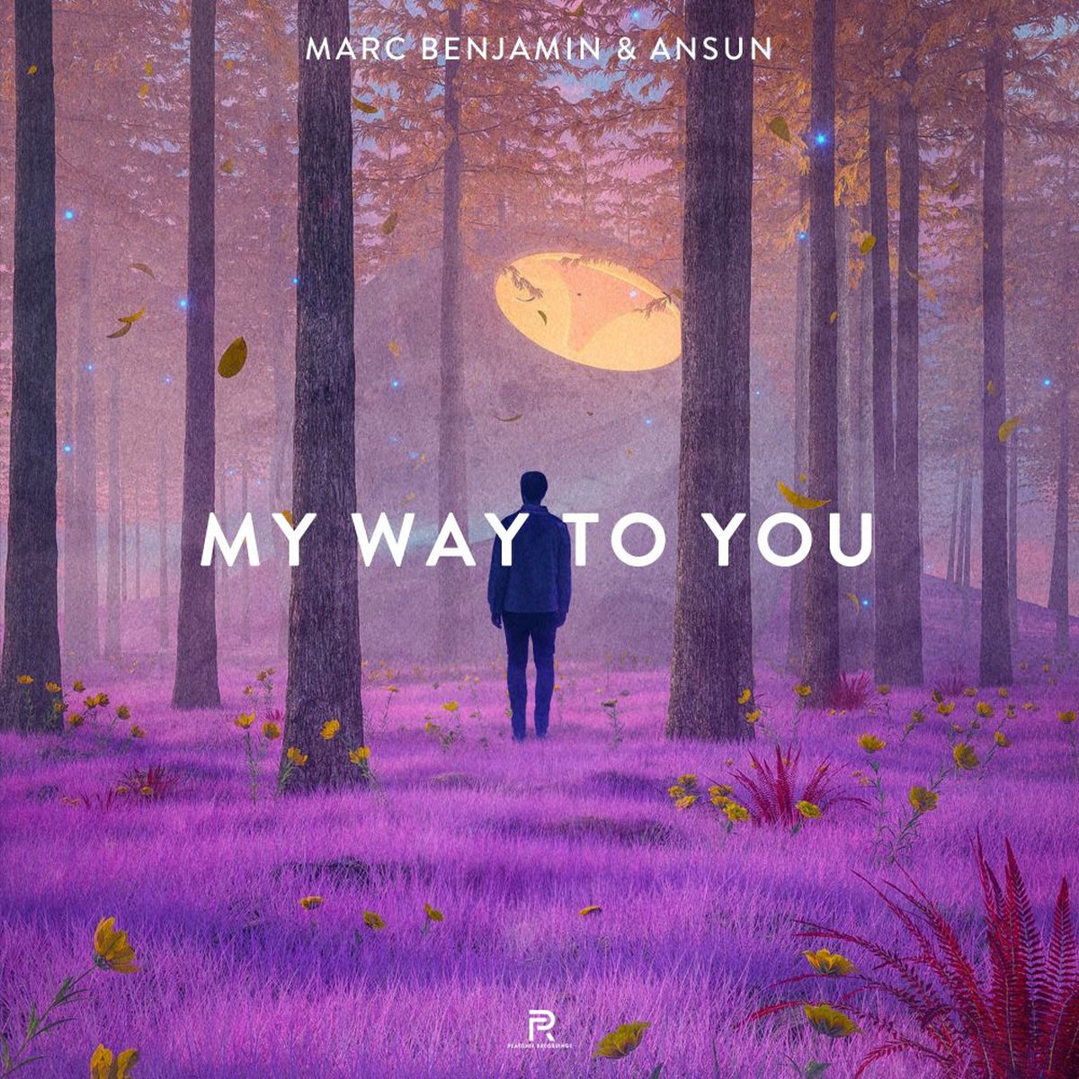 Album cover of My Way To You