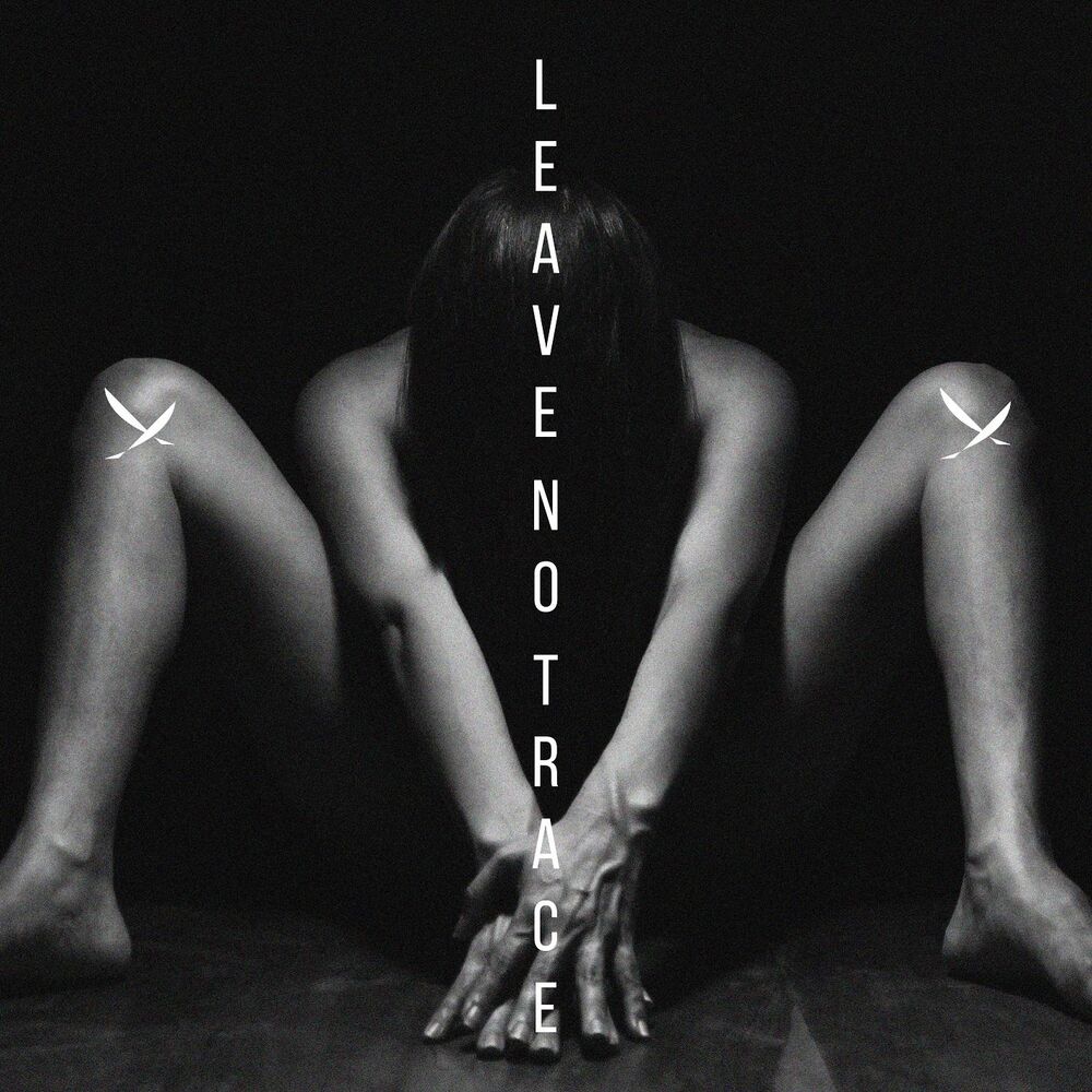 Picture of Leave No Trace