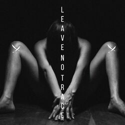 Cover of Leave No Trace
