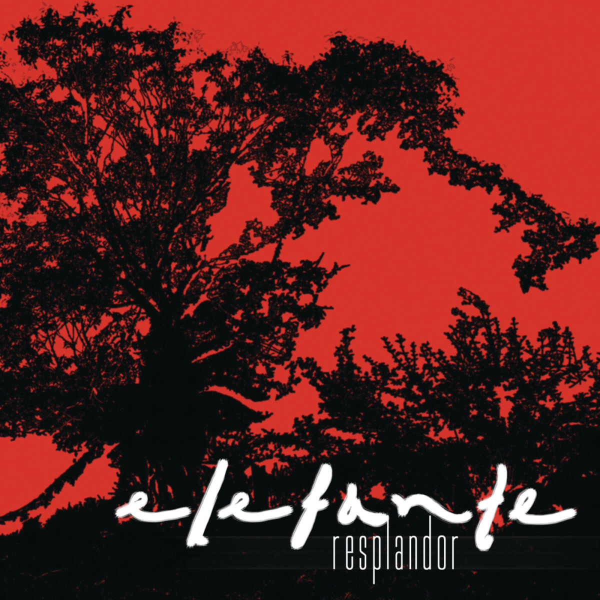 Album cover of Volar Sin Alas