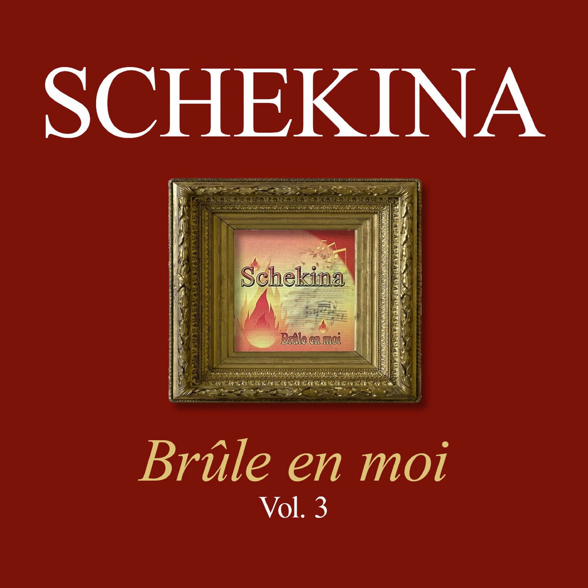 Album cover of Brûle en moi