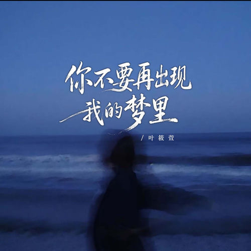 你不要再出现我的梦里