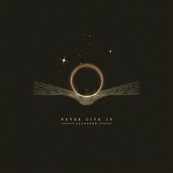 Cover of Never Give Up (Reloaded)