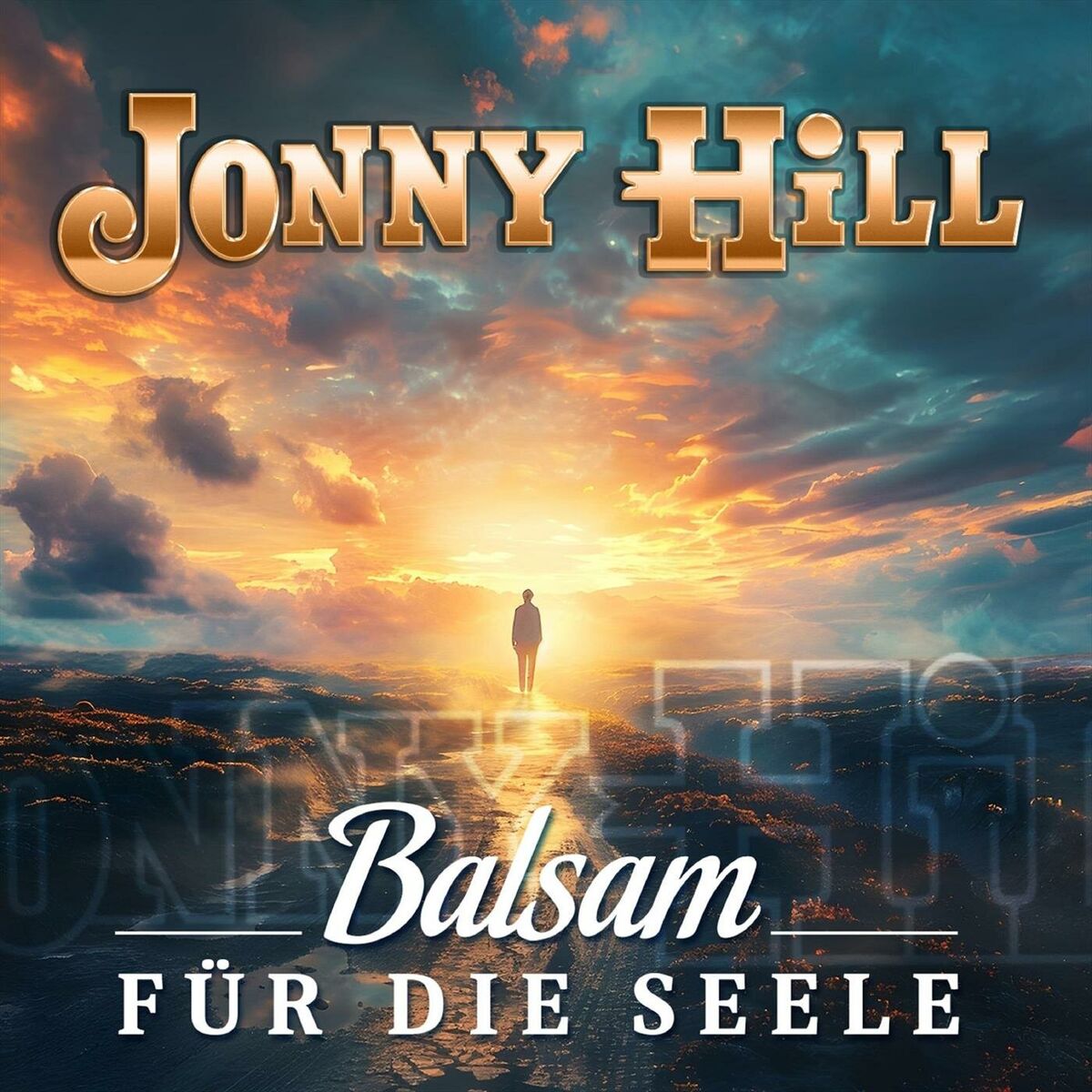 Album cover of Was ich euch noch sagen wollte