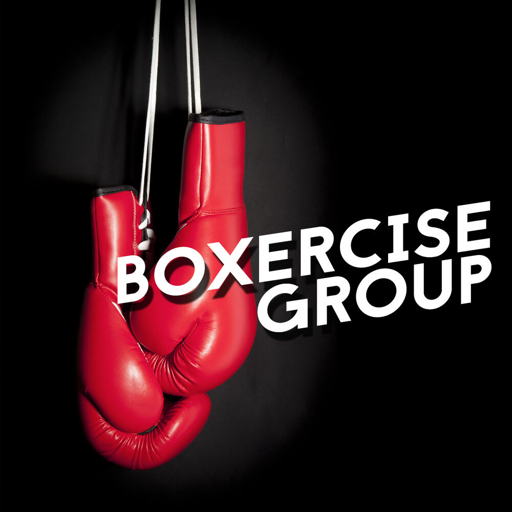 Picture of Boxercise Group