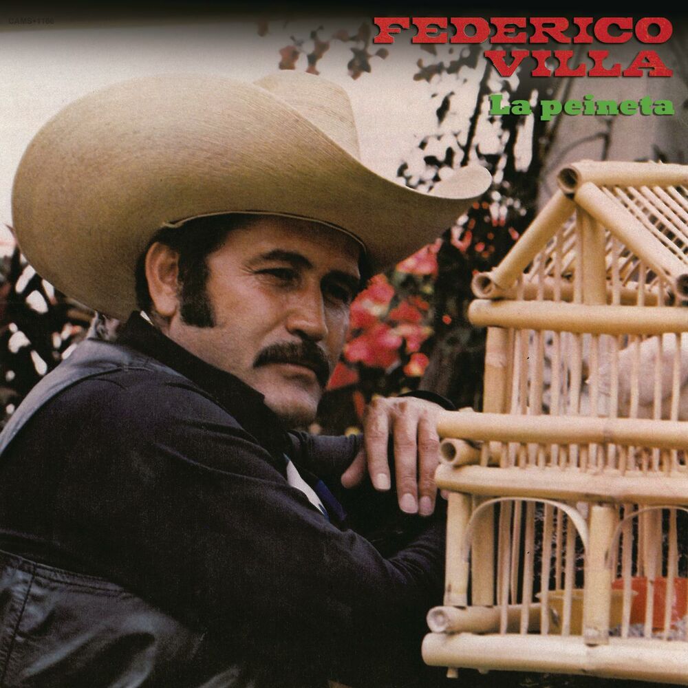 Picture of Federico Villa (La Peineta)
