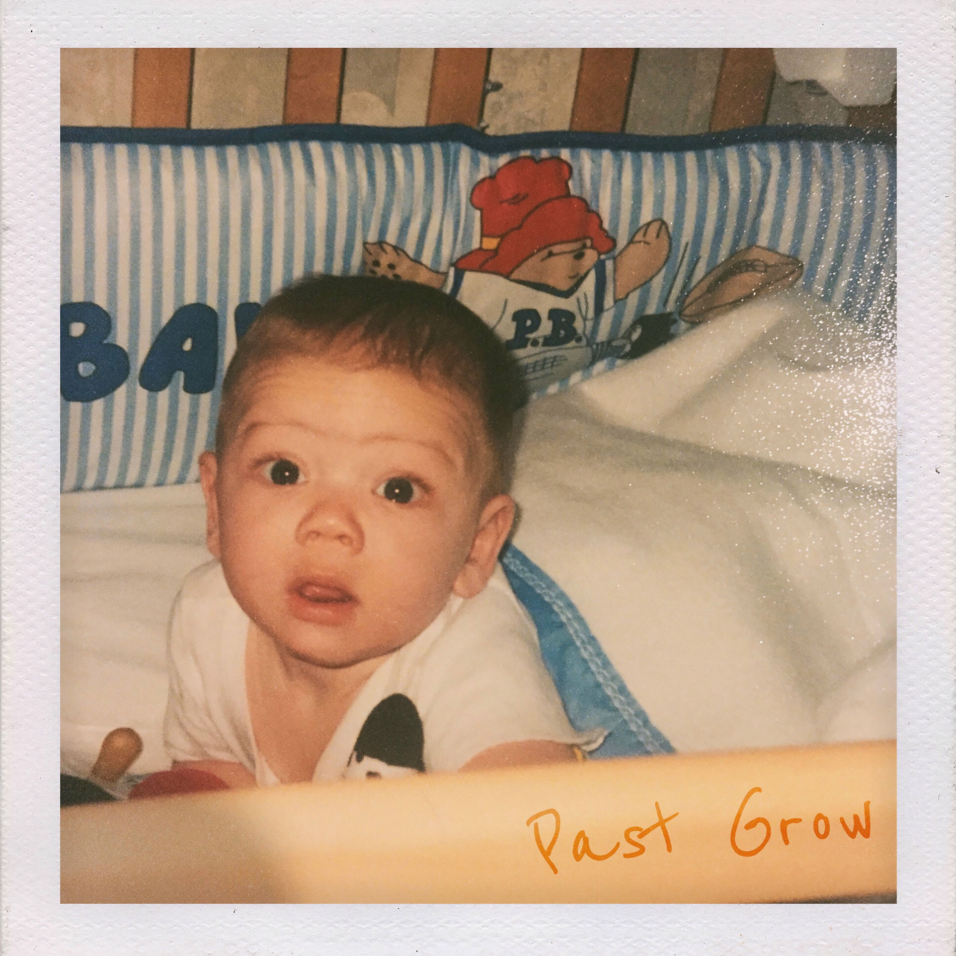Album cover of Past Grow