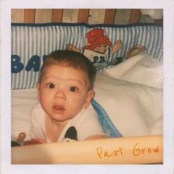 Cover of Past Grow