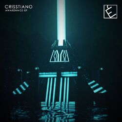 Cover of Awakenings