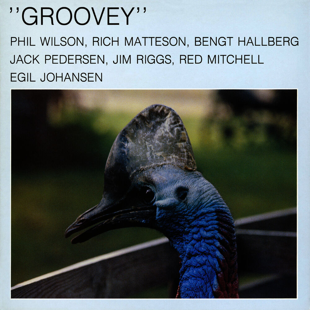Picture of Groovey