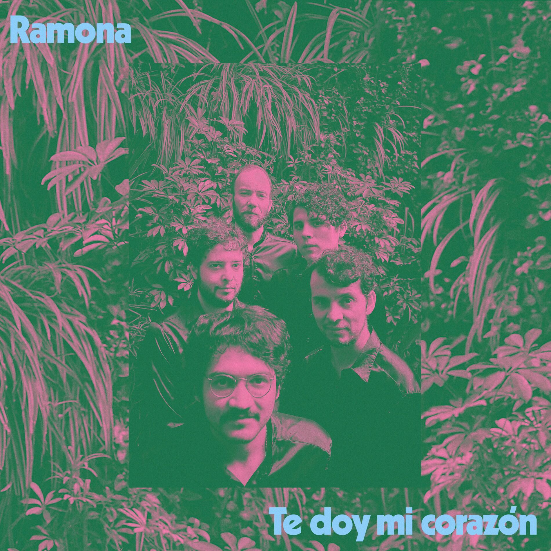 Album cover of Te Doy Mi Corazón