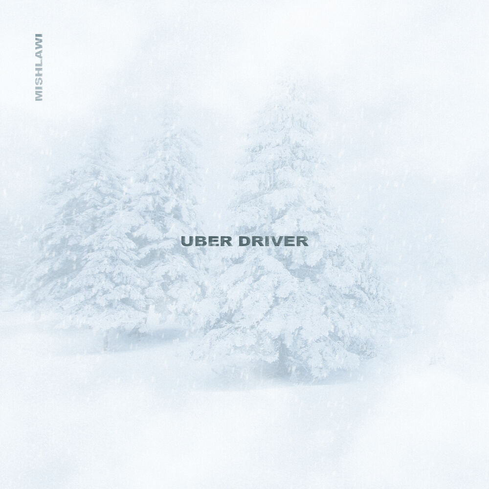 Picture of Uber Driver