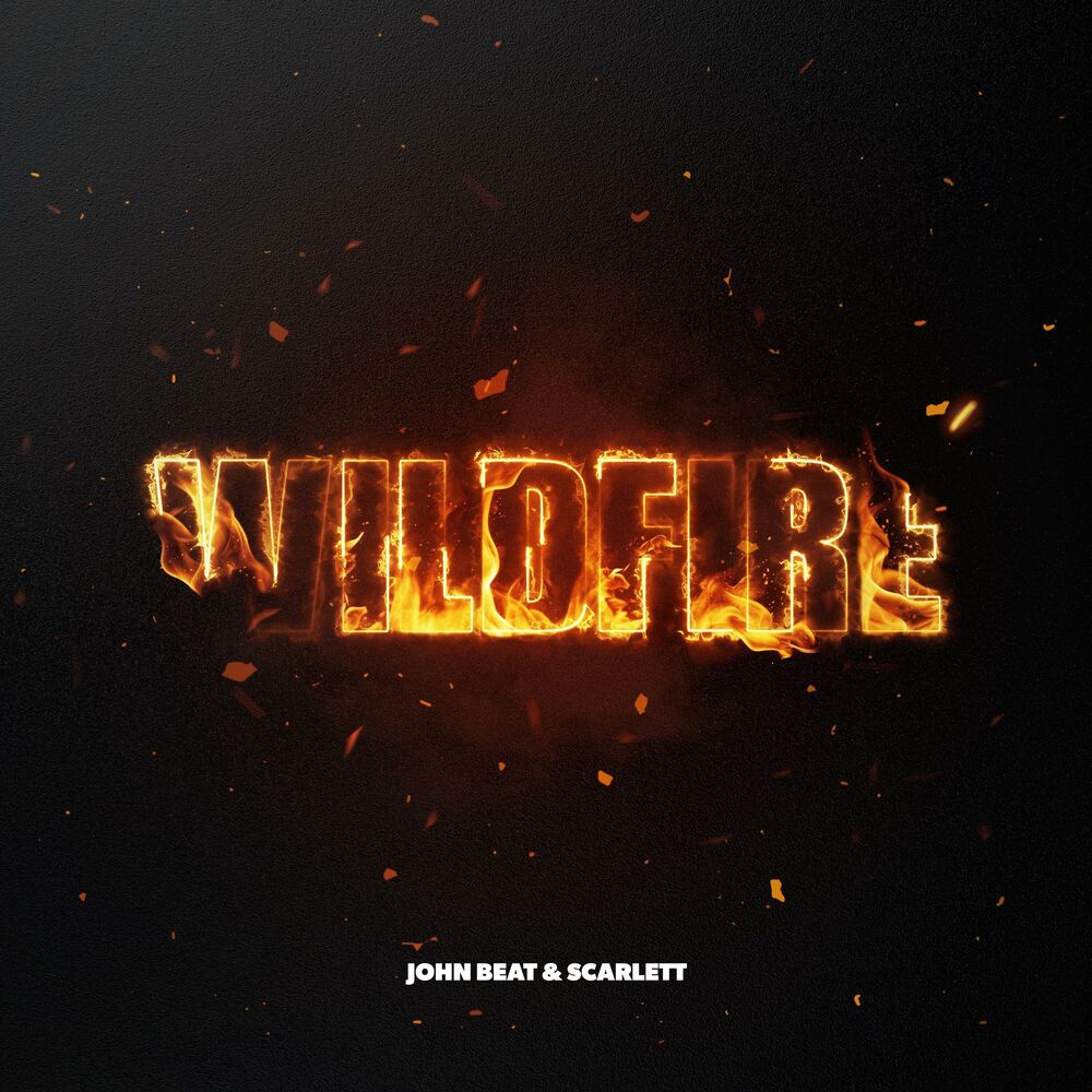 Picture of Wildfire