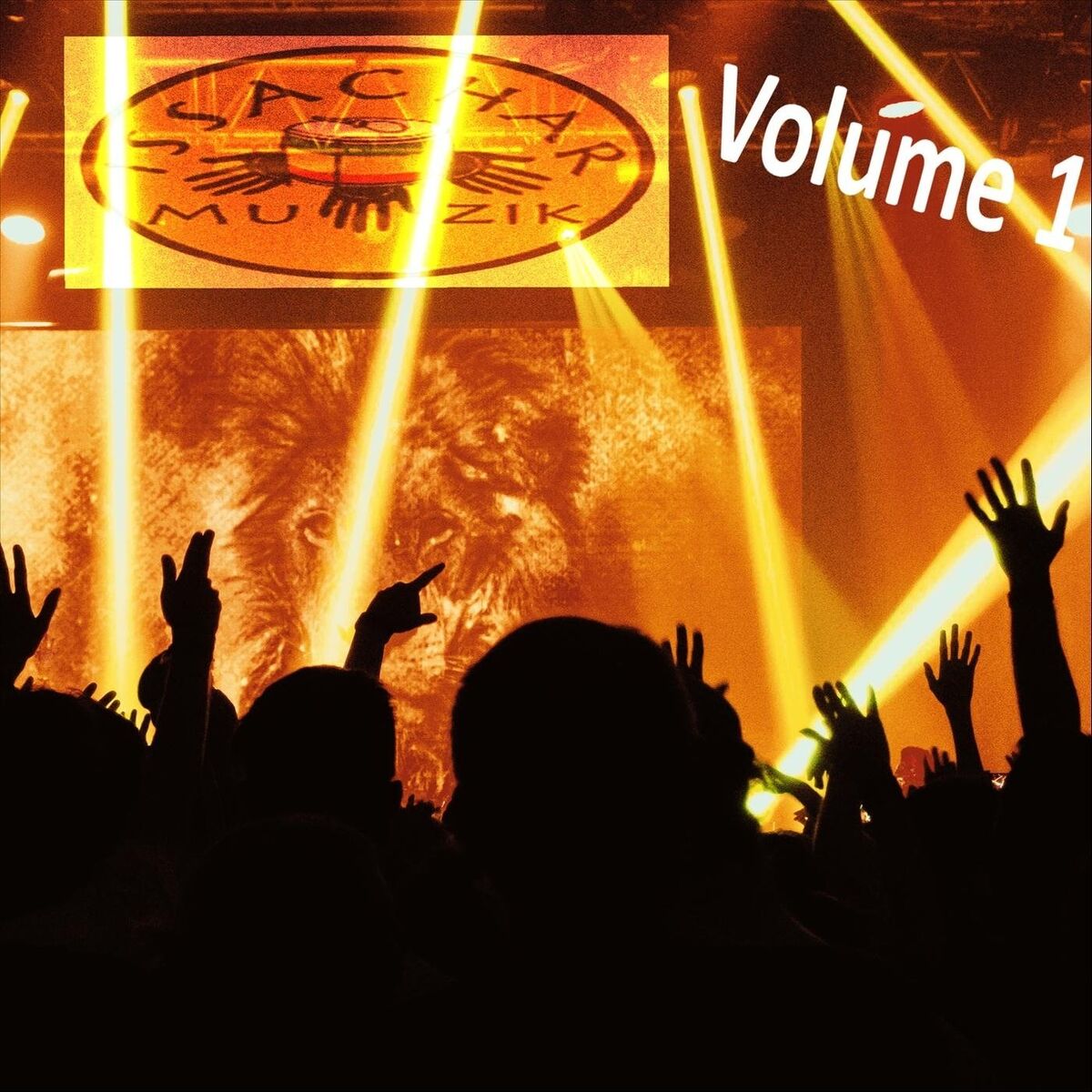Album cover of Issachar Muzik, Vol. 1