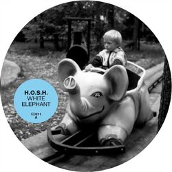 Cover of White Elephant