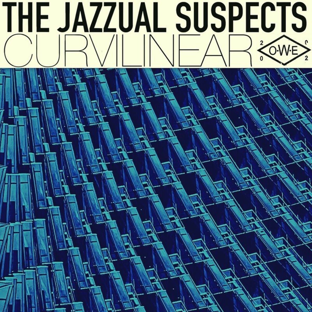 Album cover of Blue Vaka