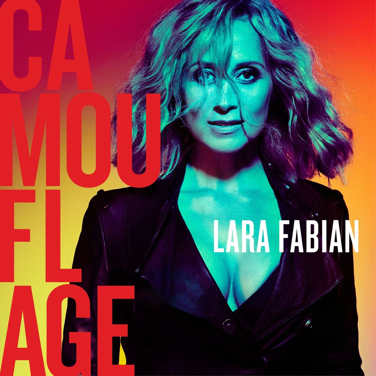 Album cover of Camouflage