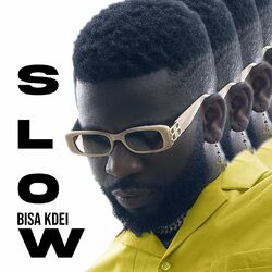 Cover of SLOW