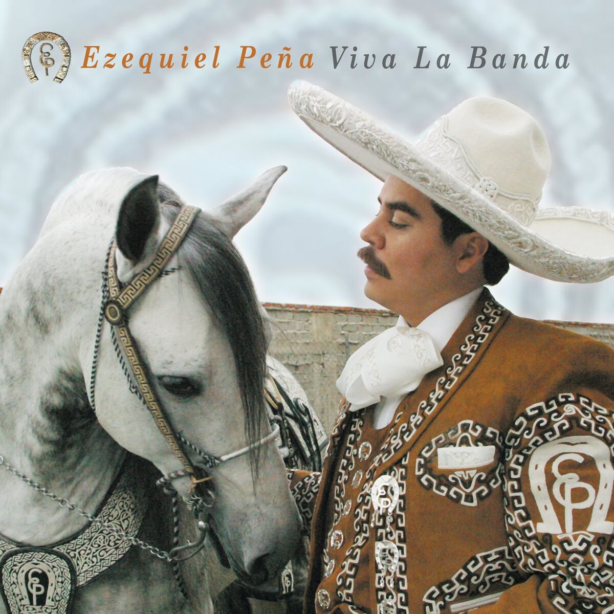Album cover of Viva La Banda