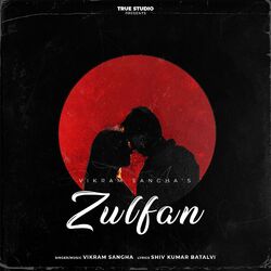 Cover of Zulfan