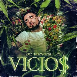 Cover of Vicios