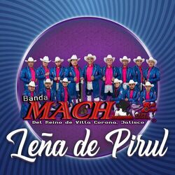 Cover of Leña de Pirul