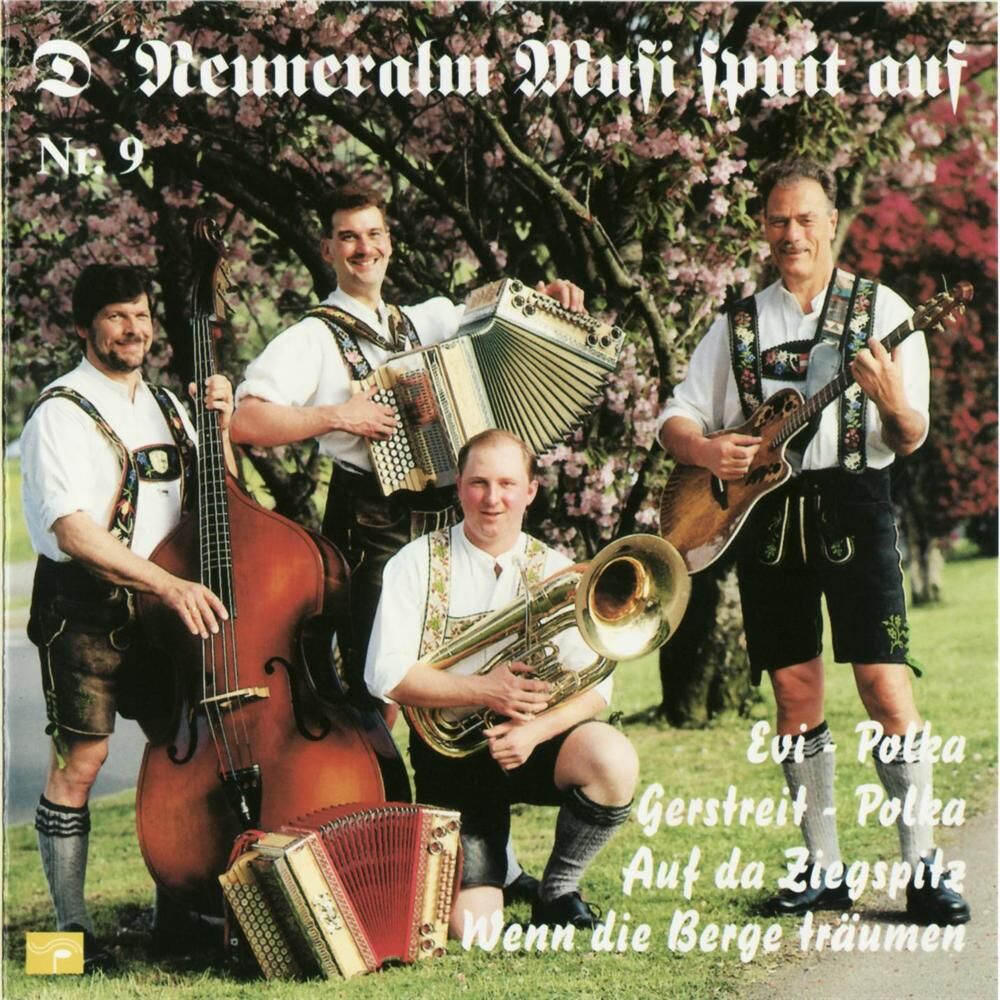 Picture of D' Neuneralm Musi spuit auf - NR. 9 - Wenn die Berge träumen