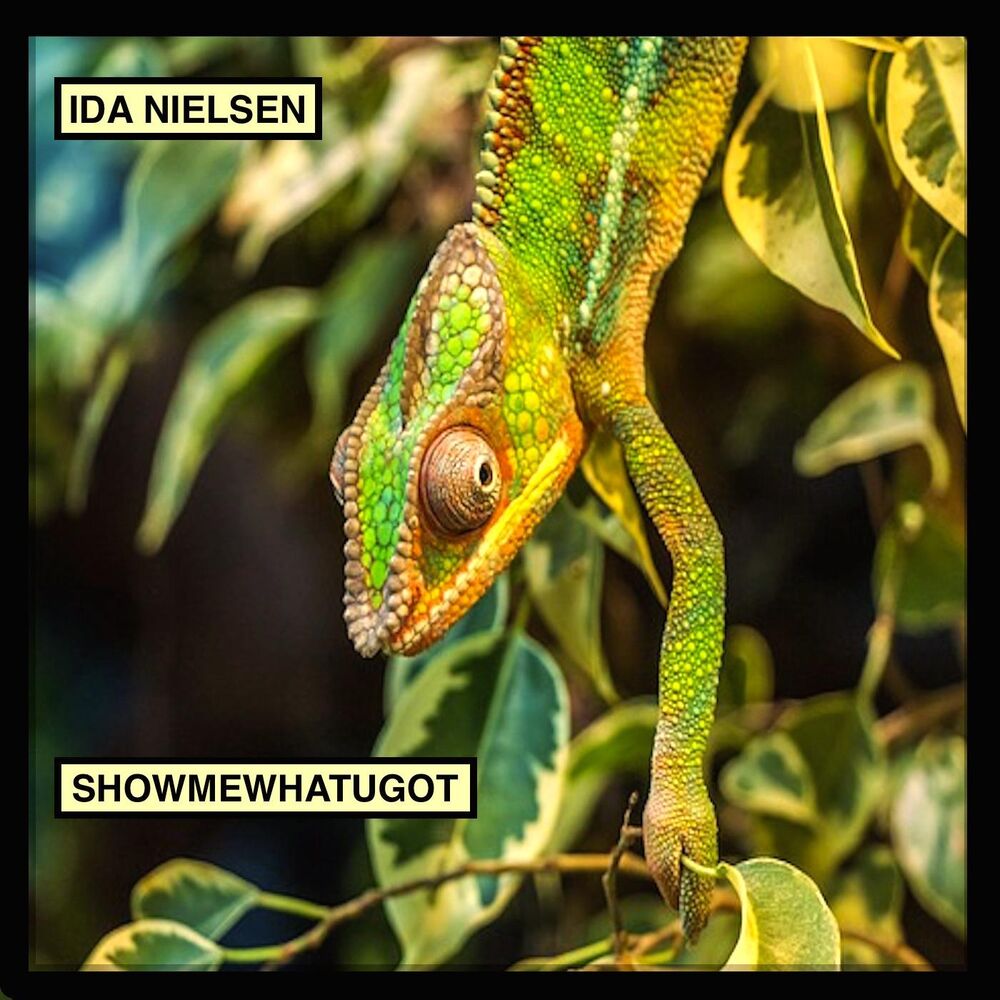 Picture of Showmewhatugot