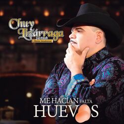 Cover of Me Hacían Falta Huevos