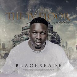 Cover of The 4th Floor