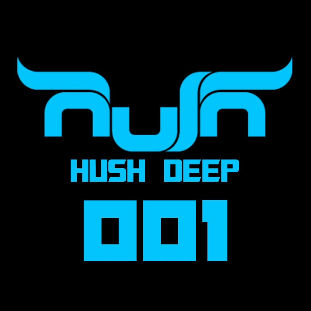 Picture of Hush Deep Presents Cool People