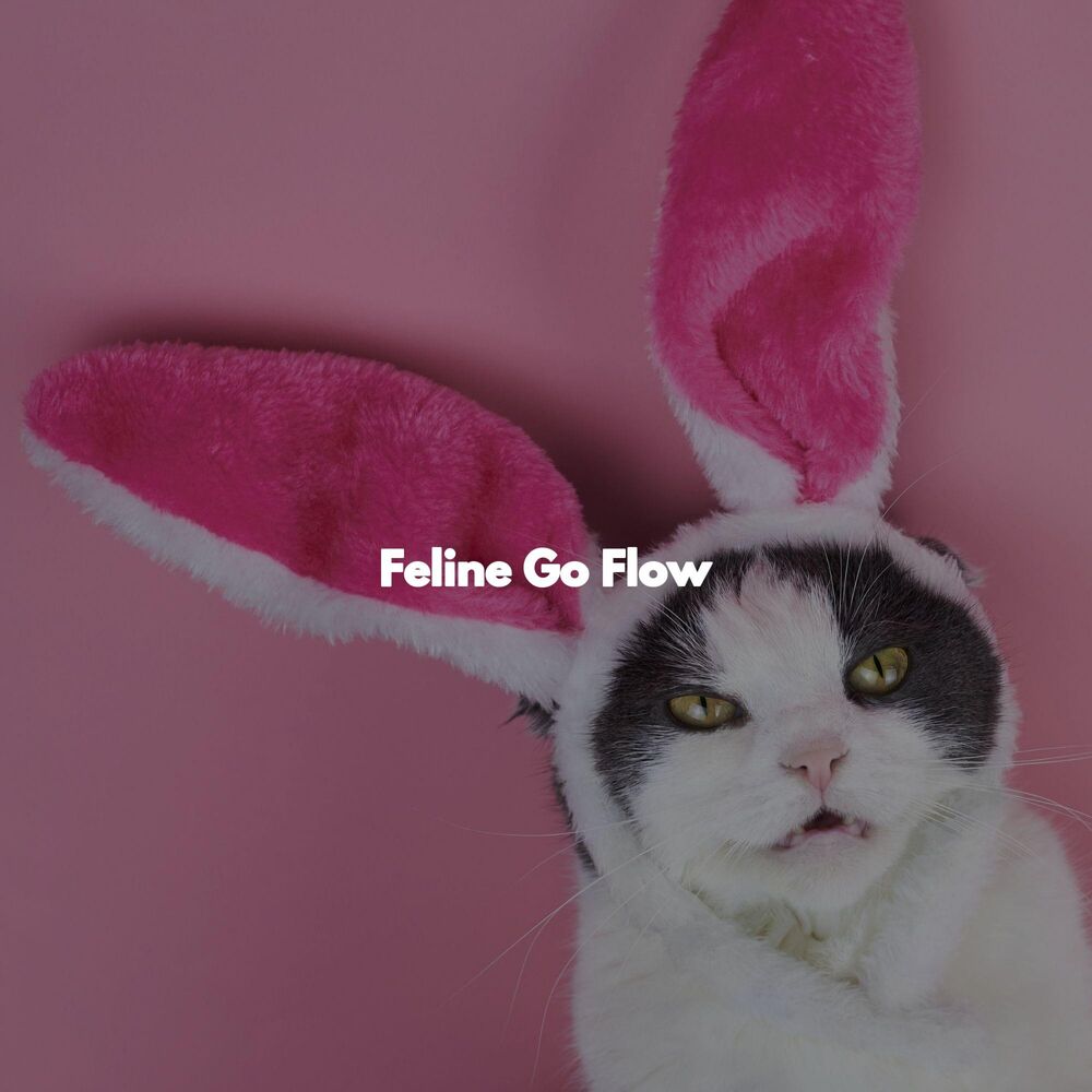Picture of Feline Go Flow
