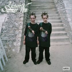 Cover of Summer Woe