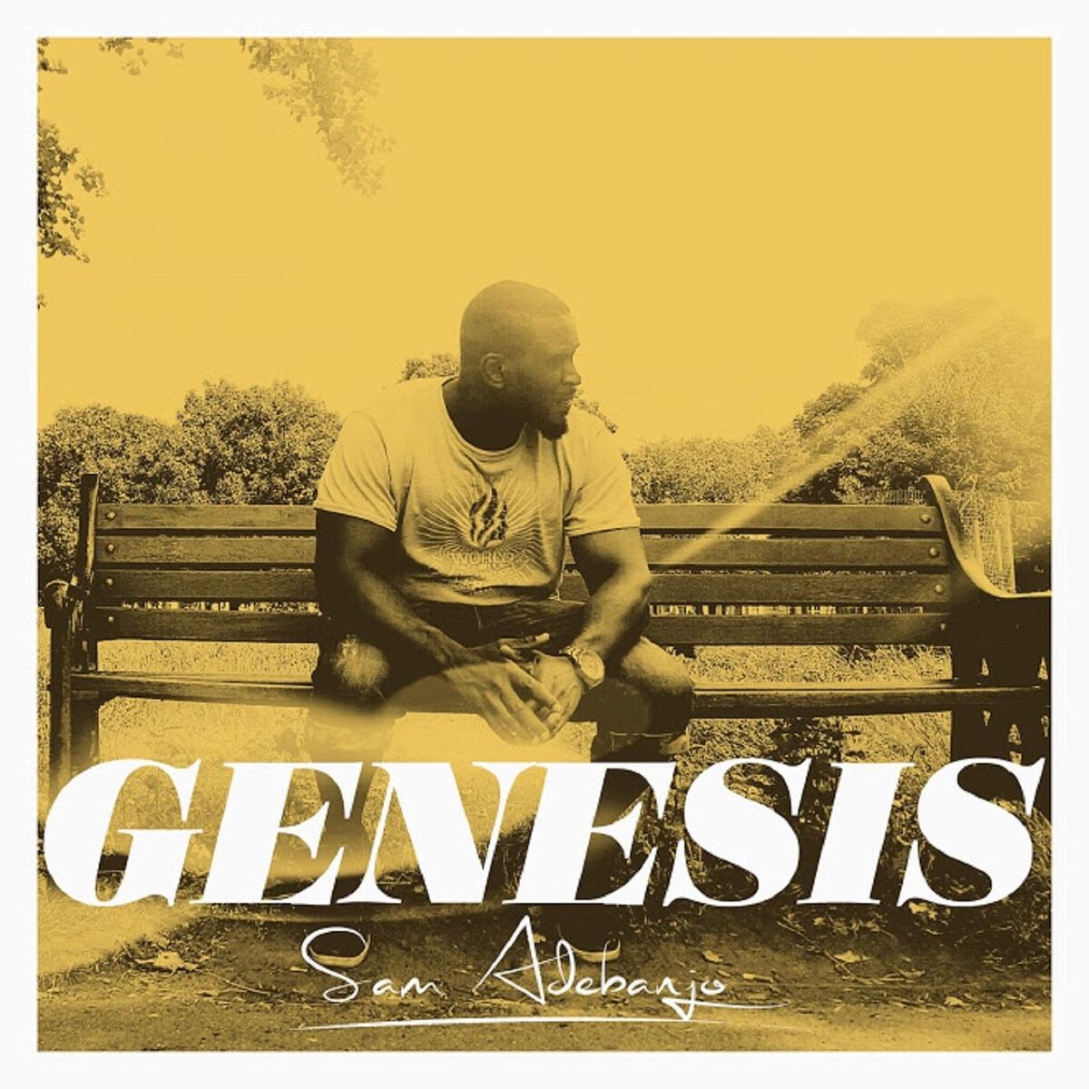 Album cover of Genesis