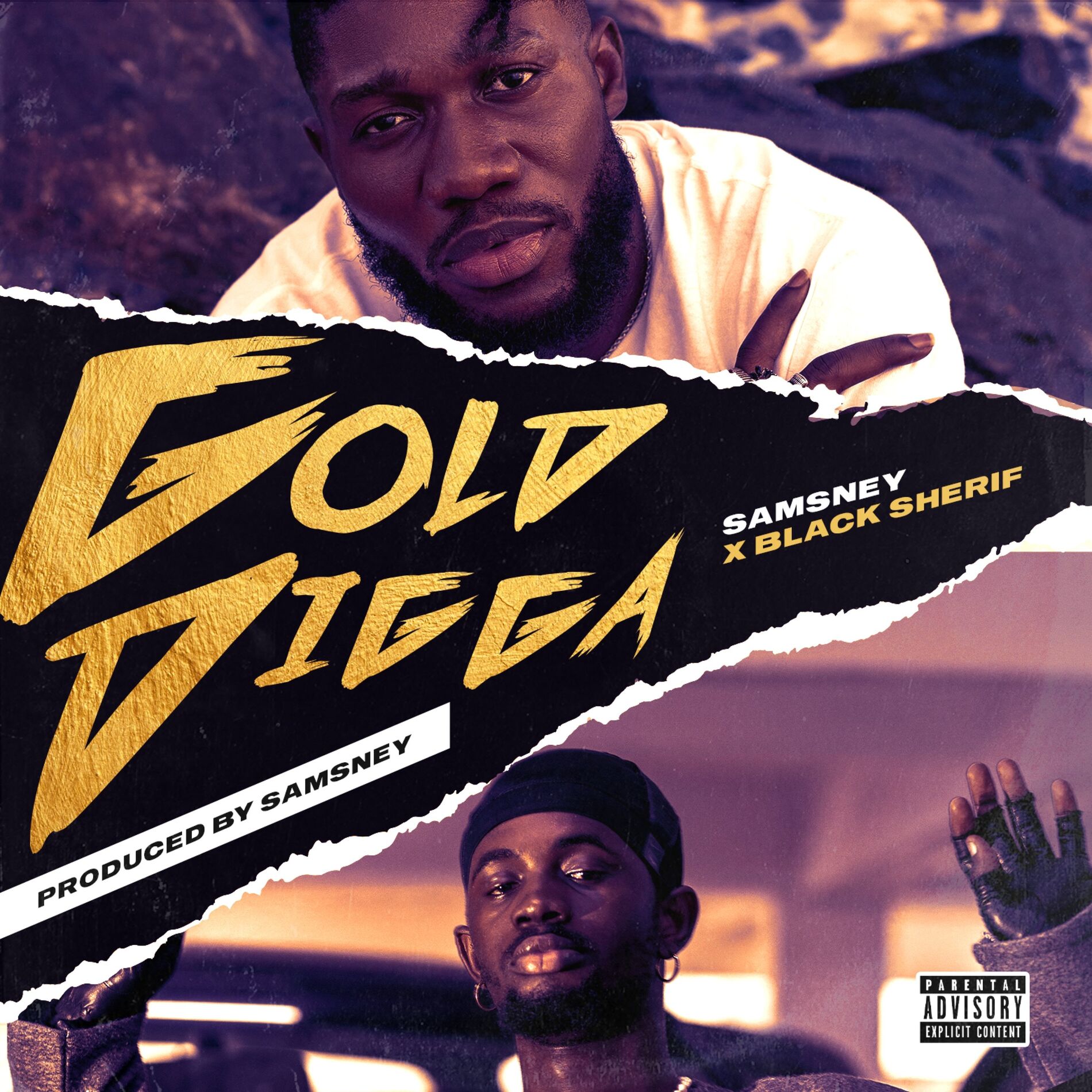 Album cover of Goldigga