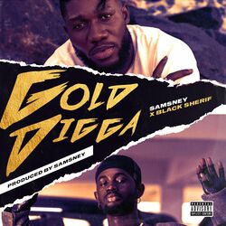 Cover of Goldigga